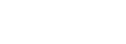Visionar